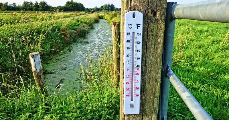 Thermomètre infrarouge ou digital : lequel choisir pour une mesure fiable ?